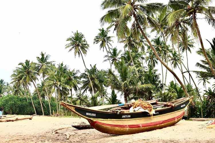Sri Lanka, kiedy jechać