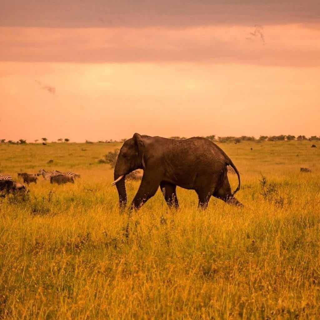Zanzibar, Tanzania