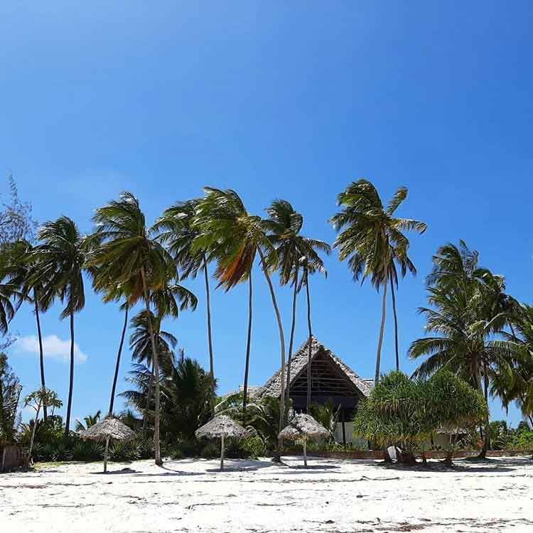 pora deszczowa na zanzibarze