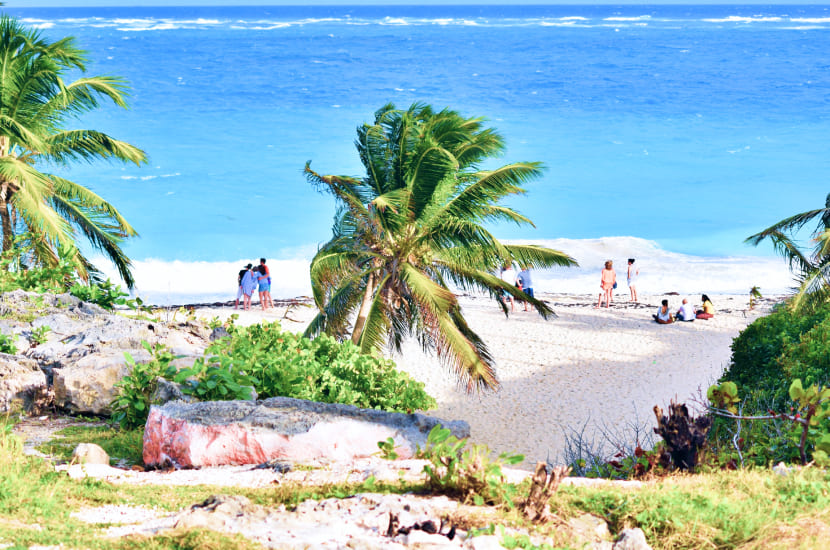 Barbados w styczniowym klimacie