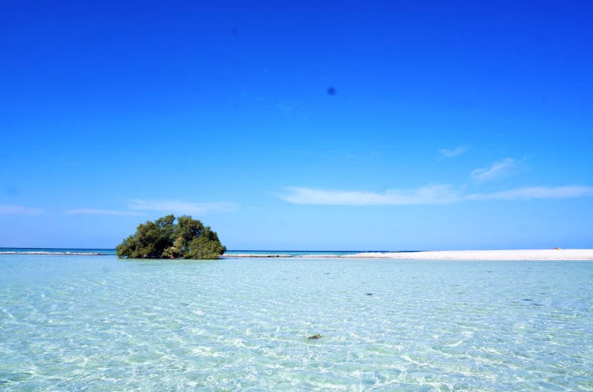 Długoterminowa pogoda dla Marsa Alam