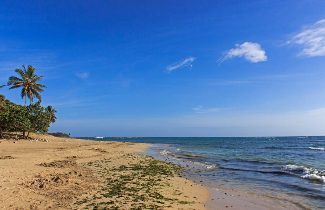 Playa Dorada plaża