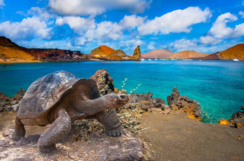 Galapagos, gdzie najcieplej w grudniu