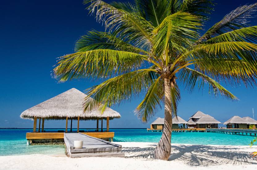 Urlop w lutym - Malediwy
