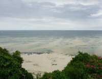 Nyali Beach plaża