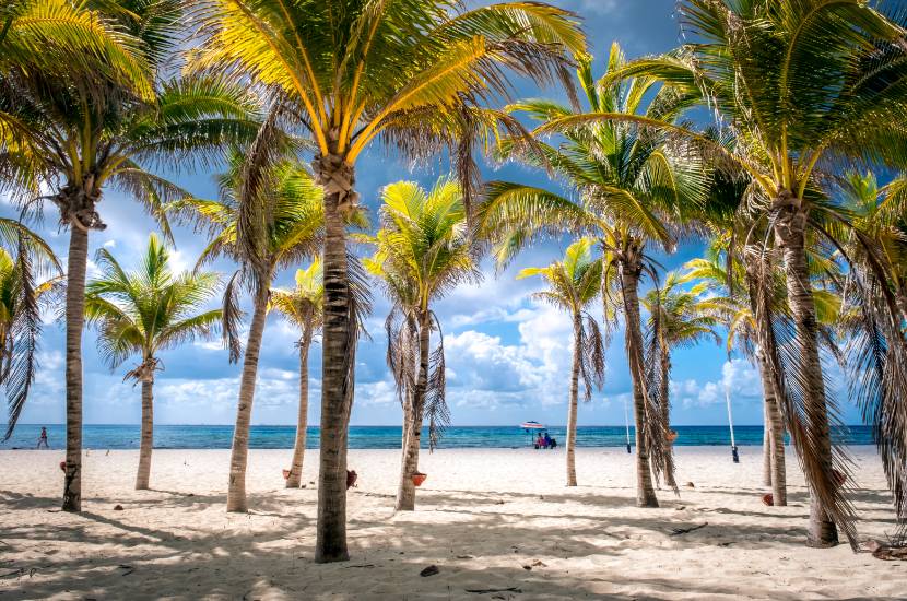 Playacar