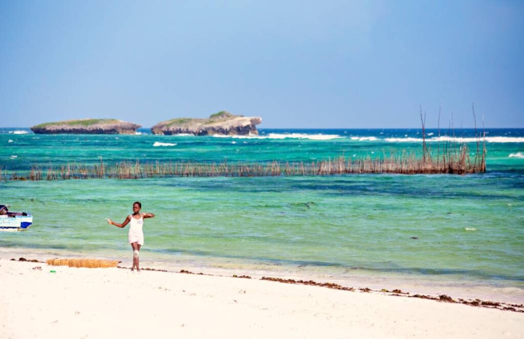 Plaża Turtle Beach Watamu Kenia
