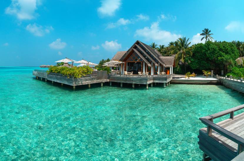 Podróż poślubna na Malediwy