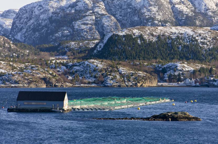 Trondheimsfjord – Skandynawia