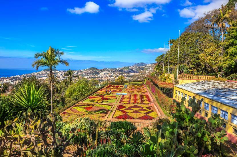 Kiedy jechać do Funchal