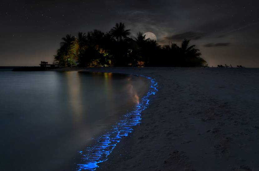Morze gwiazd na Malediwach