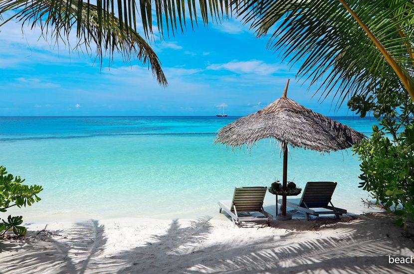 Gangehi Island Resort, Malediwy / wakacje.pl