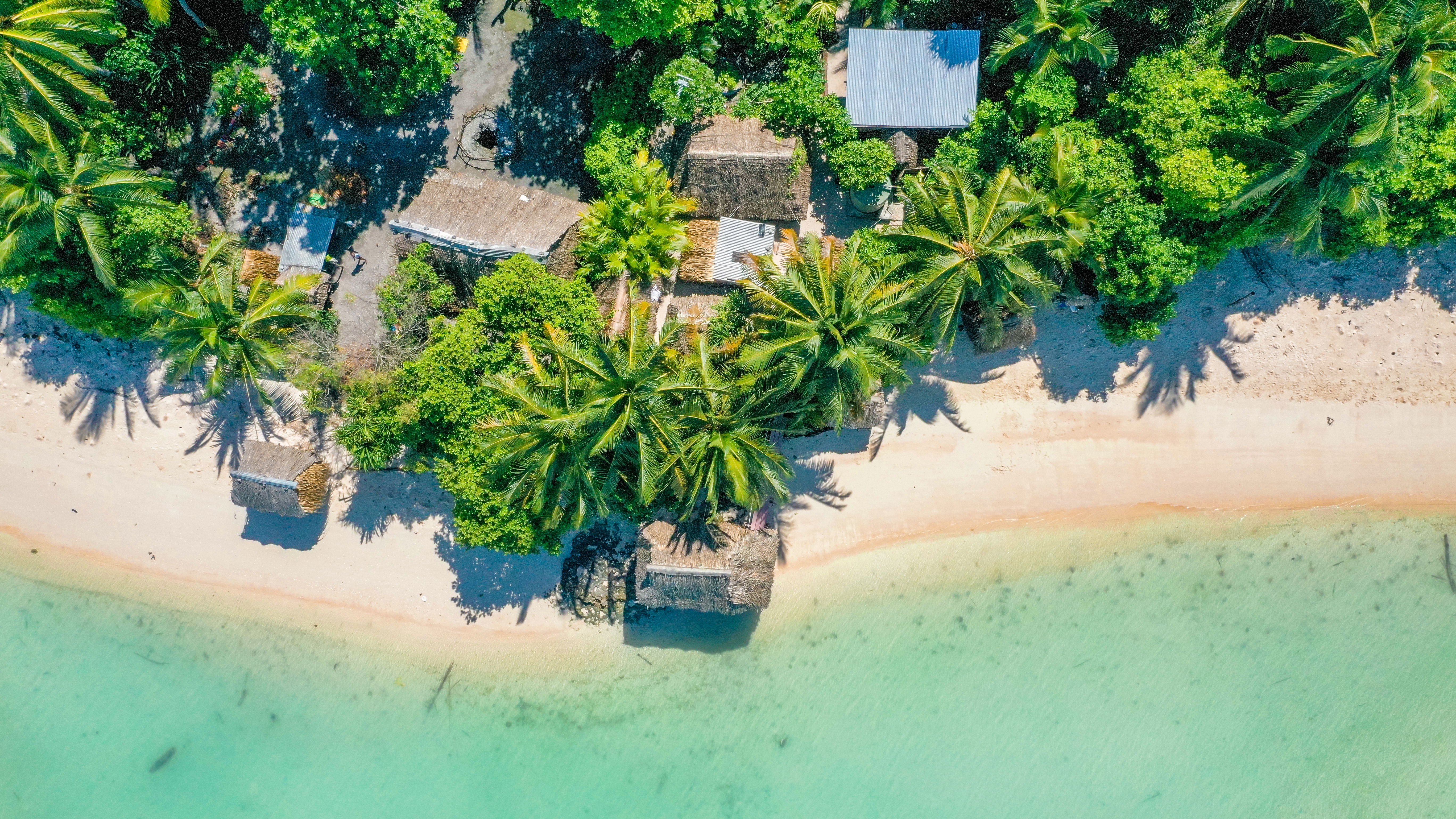 Nurkowanie na Kiribati – wszystkie informacje. Czy warto? Gdzie nurkować?