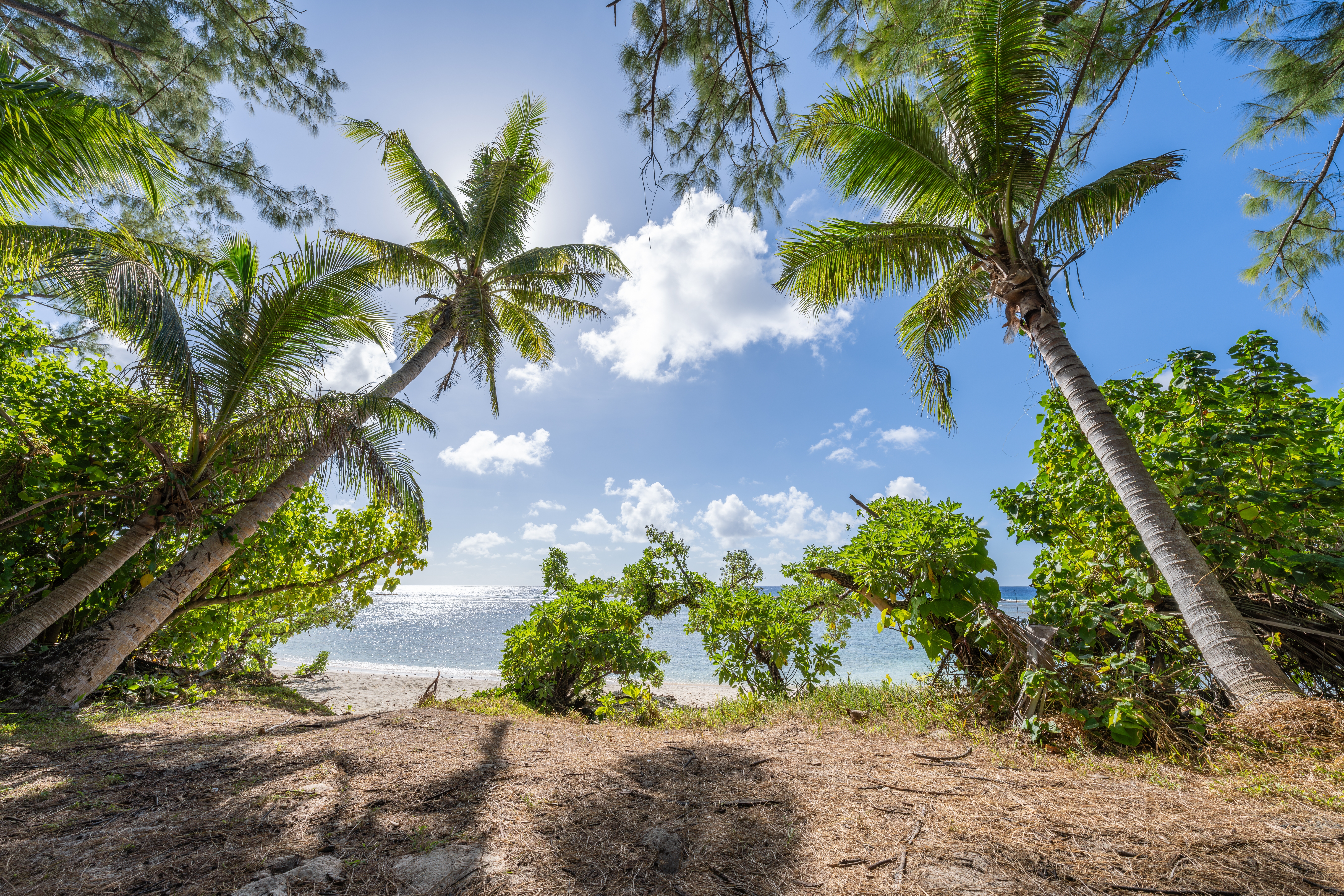 Dlaczego warto lecieć do Mikronezji?